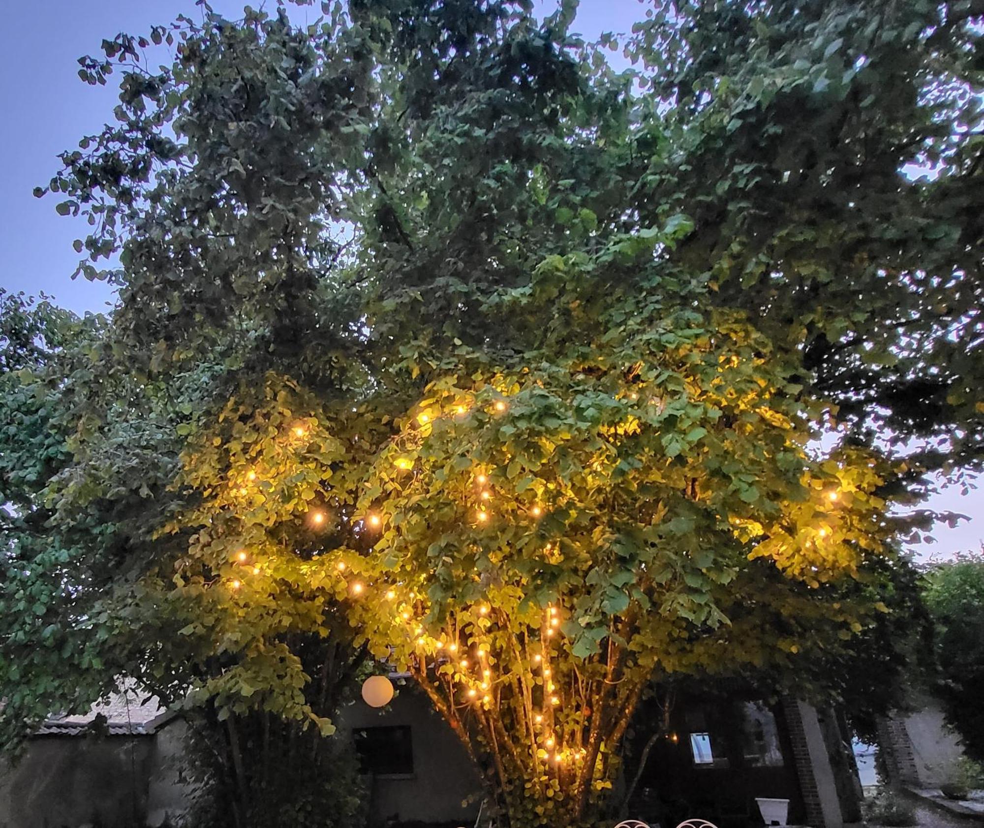 SormeryLa Demeure D'Othe住宿加早餐旅馆 外观 照片